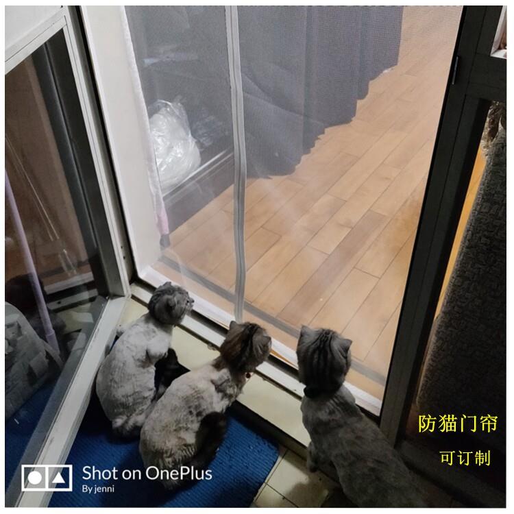 防猫门帘软隔断窗纱网门栏挡猫宠物防逃订制纱窗门无轨软纱门拉炼