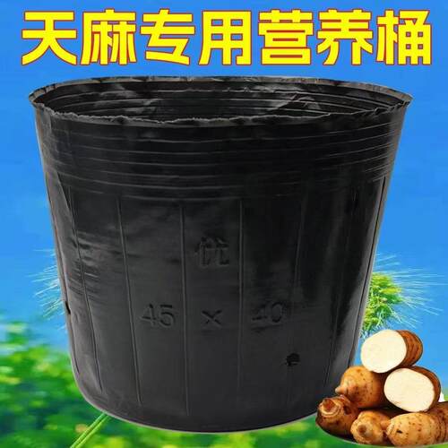 天麻桶装塑料营养钵加厚黑色营养袋大号超级大号育苗杯盆天麻菌种