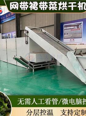 裙带菜烘干机网带式海藻新鲜裙带菜丝烘干设备大型海带花风干机