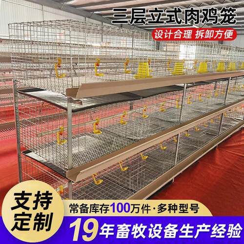 加厚三层立式肉鸡笼大空间框架式肉鸡笼清粪方便家用养殖层叠鸡笼