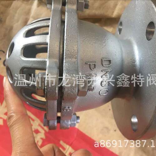 不锈钢法兰底阀，H42W吸水底阀，6P,16P,底阀，丝口底阀04材质