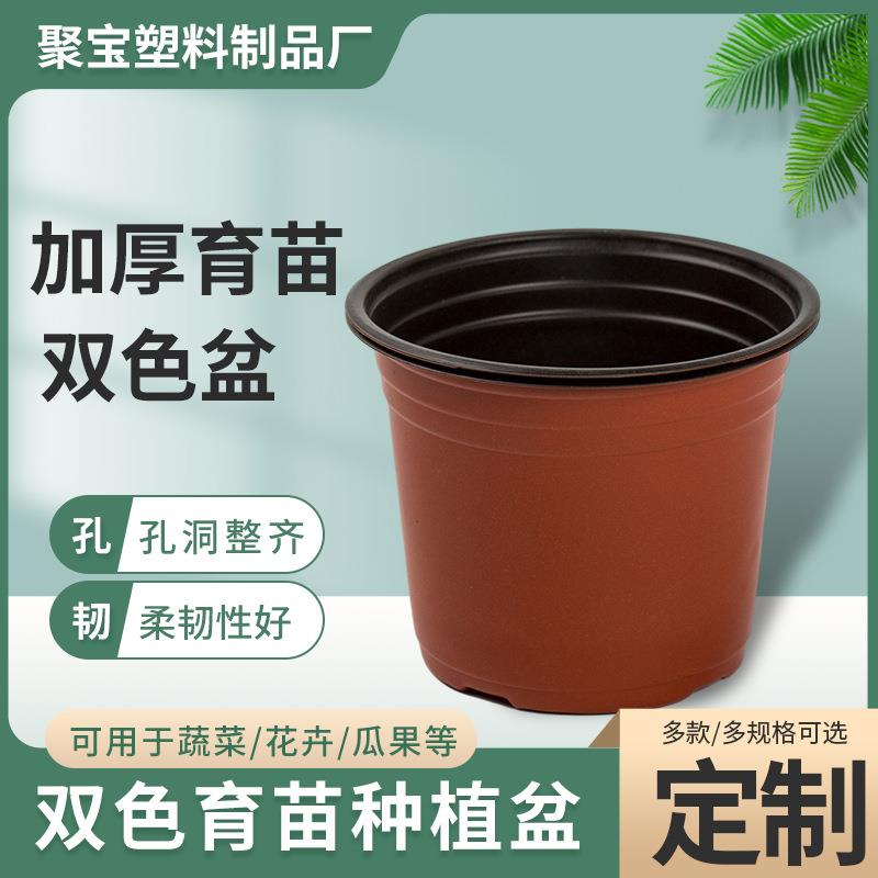 育苗双色盆塑料育苗盆营养盆多种型号多肉花盆盆景加厚绿植