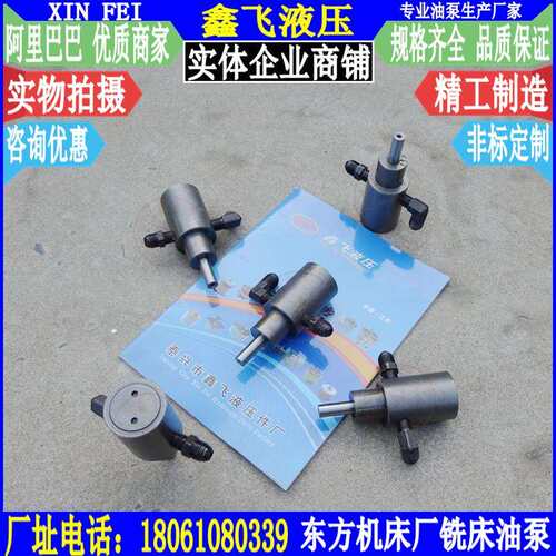 B1012A单臂刨床油泵 东方机床厂B3032叶片泵 轻型龙门铣床XQ2017