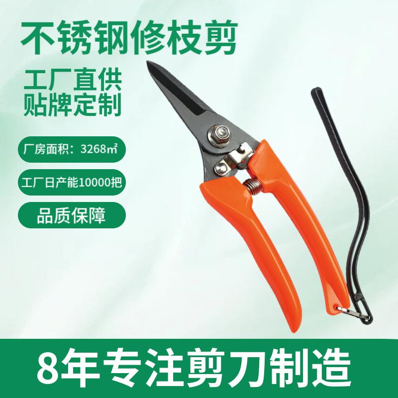 防锈多功能省力果木剪刀 园林工具专用盆栽粗枝花艺不锈钢修枝剪