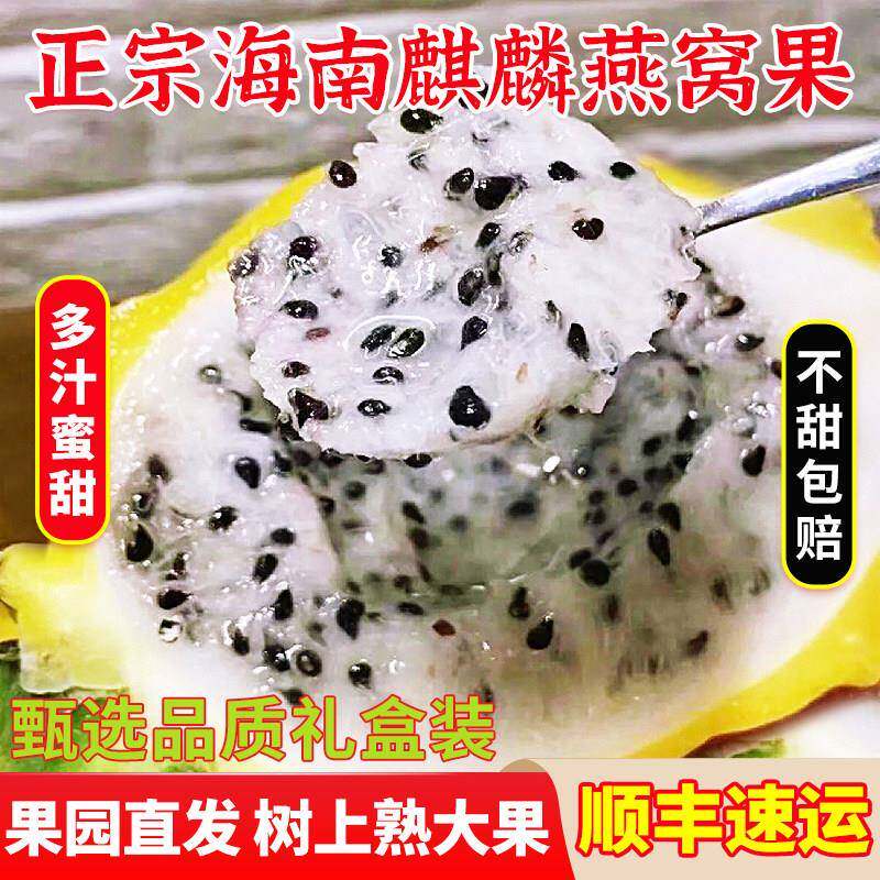 海南燕窝果麒麟果孕妇水果礼盒装树上熟新鲜当季顺丰包邮果园直发