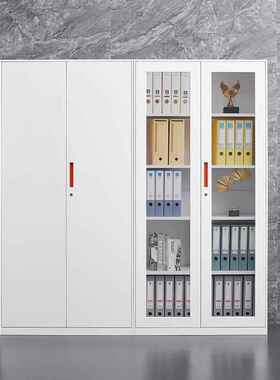 办公室档式案柜厂家柜铁皮抽档案钢制加厚屉玻璃WJG20240资料文铁