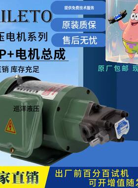 TOP-12A/13A齿轮油泵电机ROP11A三角摆线泵380V机床车床润滑220V