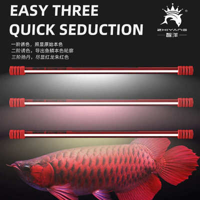 水族鱼缸黄白红鱼潜色发色t56700k龙t5 灯发15000k灯三 水灯 基色