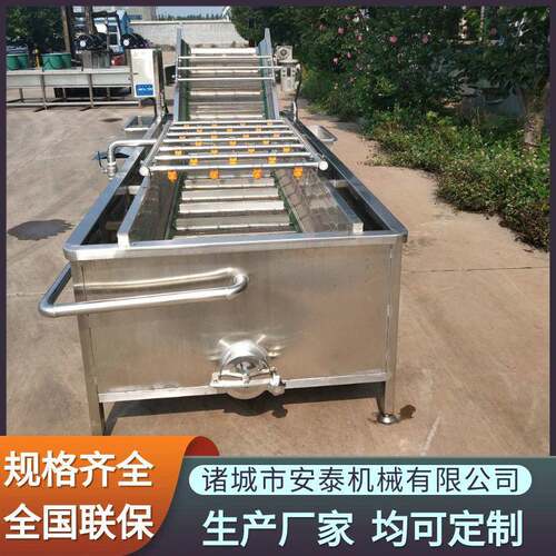 银杏果清洗蒸煮流水线设备 雪里红全自动清洗设备 蕨菜气泡清洗机