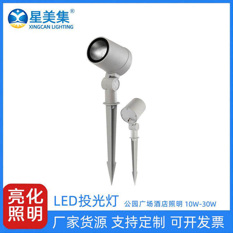 10W20W30W户外花园景观灯LED户外草坪灯室外七彩照树灯防水投光灯
