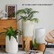 北欧约花号盆客大厅落地镁泥花盆大竹现代创意仿简陶瓷龟背绿植花