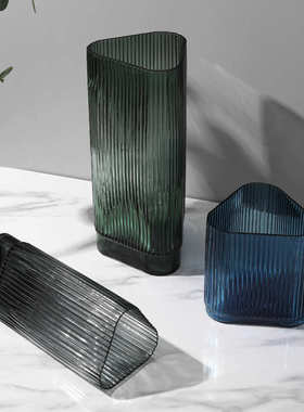 纹竖奢摆件花瓶插花家居花玻璃餐桌创意北欧水培客厅装饰品器轻