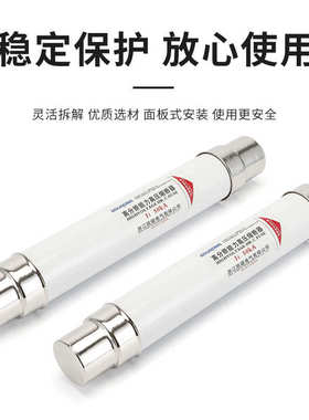 10a20a40a50a63限流-熔断器12kvxrnt10安保险管高压80a100a丝箱变