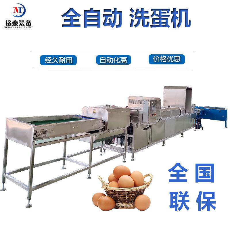 鸡鸭养殖场洗蛋机蛋品外壳清洗粪便粘液设备笨鸡蛋清洗机