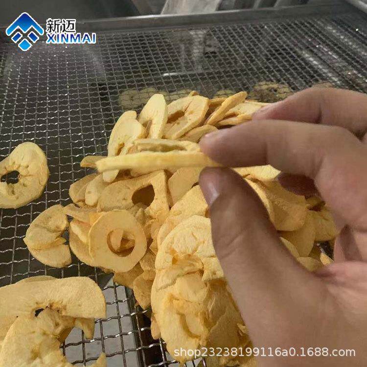 厂价果蔬变温压差真空膨化机苹果脆片低温脱水价格微波干燥设备