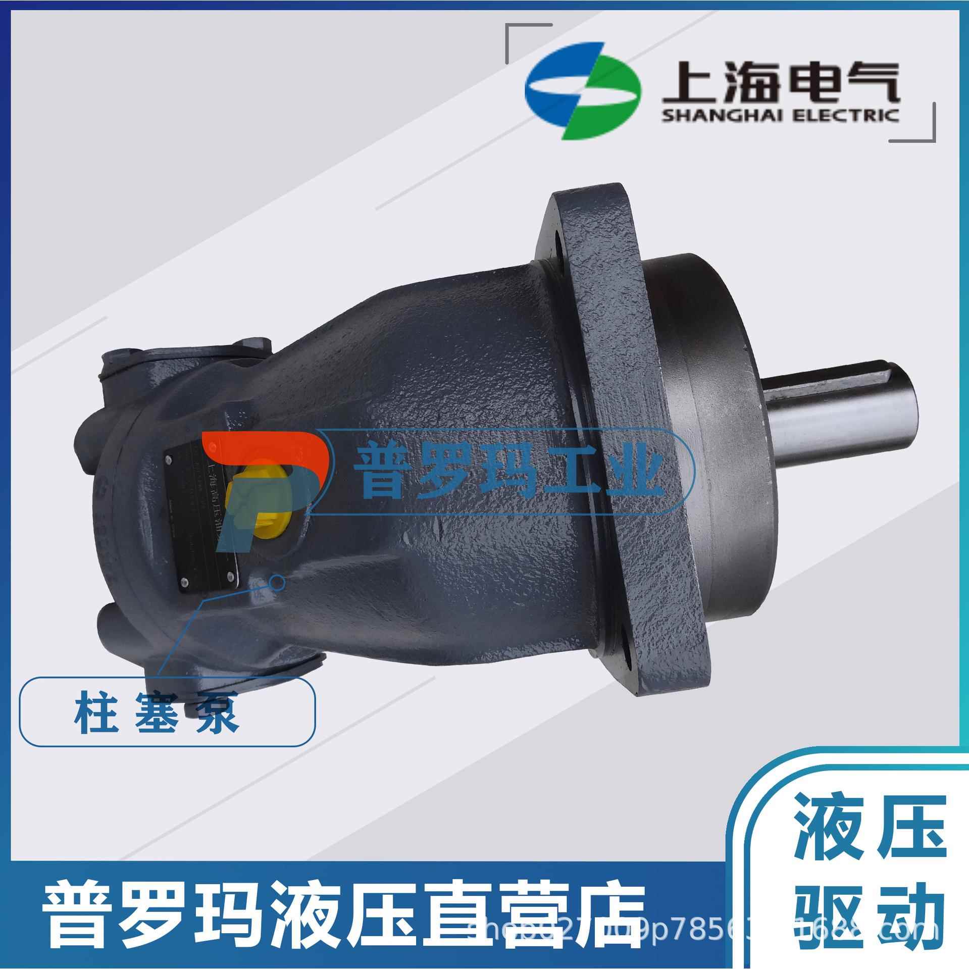A2FE125柱塞泵液压马达力士乐上海电气力源华德履带吊强夯机旋挖