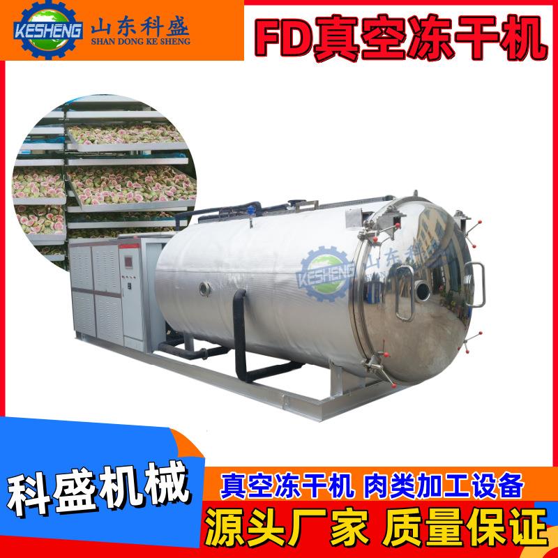 蔬菜冻干设备冻干水果机器冻干山楂冷冻干燥机设备真空冻干机