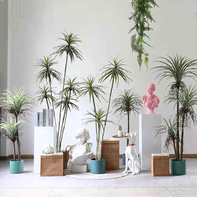 沙漠狭叶龙血树假绿植剑麻凤尾丝兰植物仿真千年木龙血树真