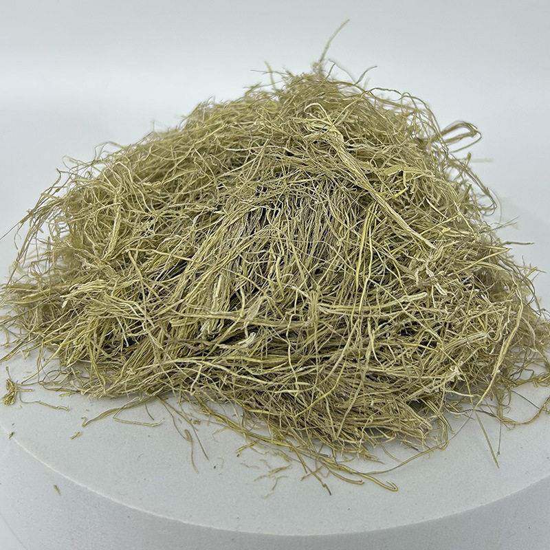 新款直销丸九昆布丝海带泥拉拉糊水母状态粉鲫鲤鱼饵黑坑野钓滑口