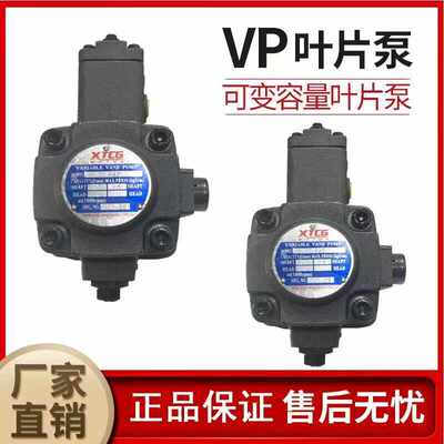VP-30-FA3变量叶片泵VP-40FA3 VP-45 液压油泵 XTCG液压油泵总成