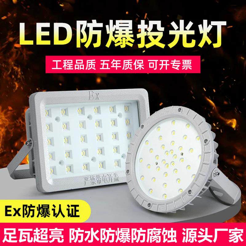 LED防爆灯工业加油站罩棚灯户外隔爆型投泛光灯仓库厂房led应急灯