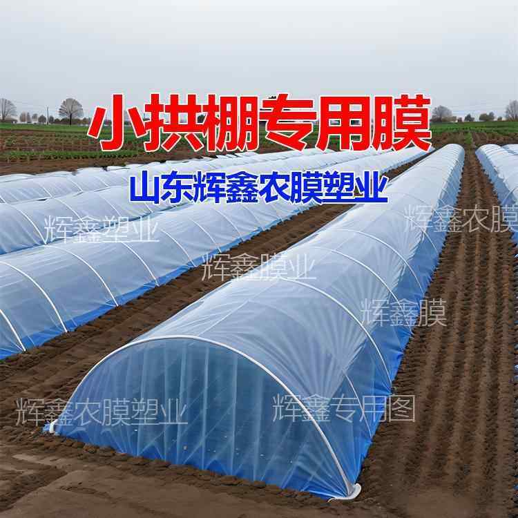 内膜加厚无滴膜蔬菜种植消雾薄膜小拱棚膜防冻农用薄膜育苗二层膜,农机/农具/农膜,农用薄膜,淘宝优惠券,粉丝福利购,淘宝优惠卷