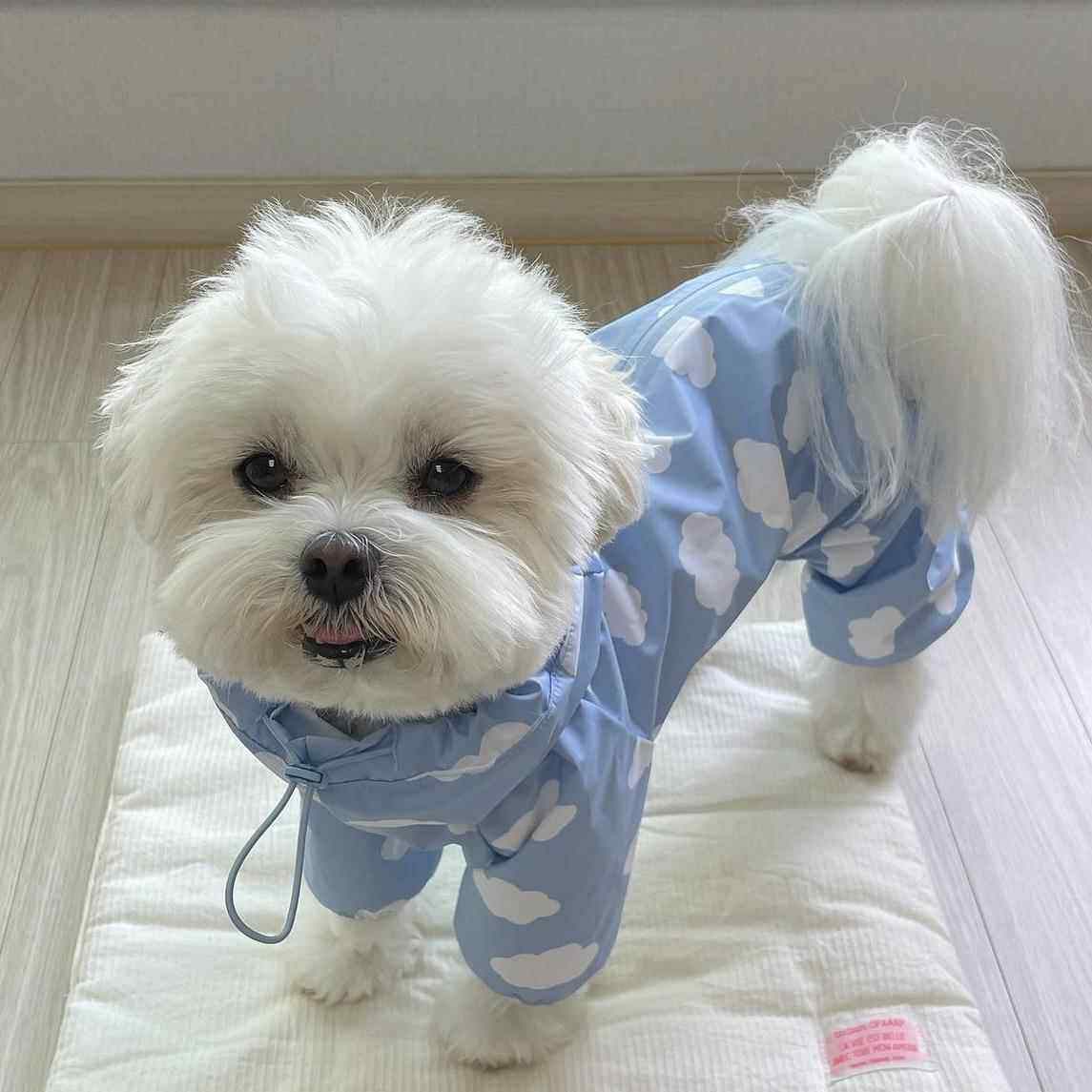 韩国宠物狗狗防水全包雨衣雨披 中小型犬四脚连帽泰迪比熊跨境pet