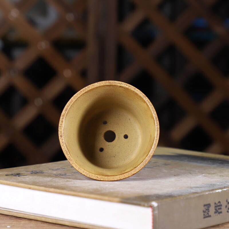 自在屋紫砂花盆微型兰花小金钟铁画轩覆古中国风迷你可爱绿植