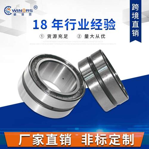厂家直供 圆柱滚子轴承SL04 50-PP SL04-PP系列 不锈钢滚针轴承