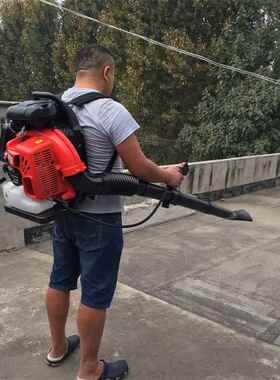 畅扫销道什威尔棚大功率吹风机大房鼓顶吹雪机室外ULT游乐园清风