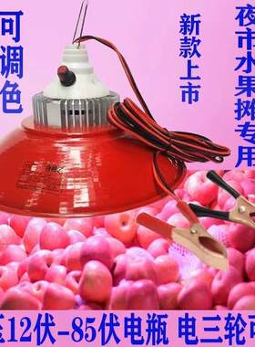 12v48v60v电瓶电动三轮车摆摊卖水果调色灯新款变色红光照明LED灯