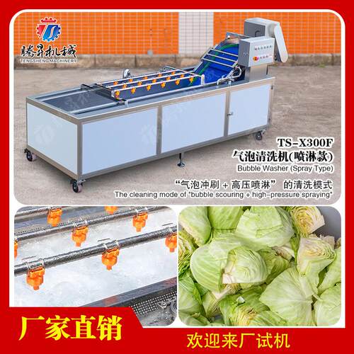 食品加工果蔬洗菜机气泡洗菜机包菜土豆清洗机清洗机视频