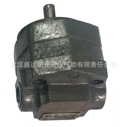 佳宇 西安 BB-B16 BB-B20/B25 摆线齿轮油泵 内啮合 滤油车润滑泵