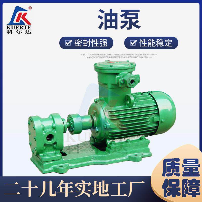 齿轮泵厂家直供2CY齿轮式输油泵耐腐蚀润滑泵不锈钢润滑齿轮泵