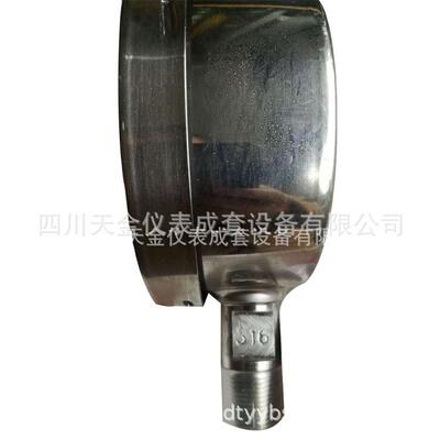 红旗仪表耐震不锈钢压力表YTN100BF 高精度1.6级径向充油表 60MPA