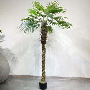 仿真蒲葵唐棕蒲棕榈叶落地假绿植物室内阳台橱窗庭院造景装饰摆设
