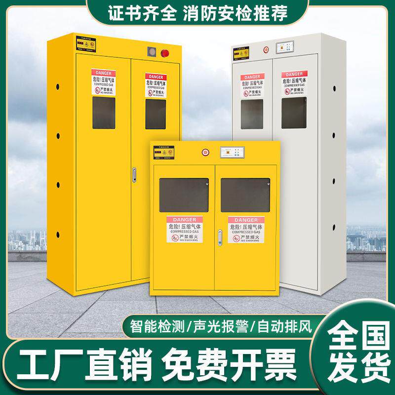 气瓶柜安全柜全钢防爆乙炔氢气氮气煤气罐实验室储存双瓶钢瓶柜子