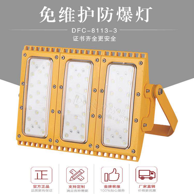 防爆投光灯led150w120w低36V48V隔爆型防爆灯可调角度立式支架式