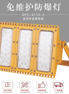 防爆投光灯led150w120w低36V48V隔爆型防爆灯可调角度立式支架式