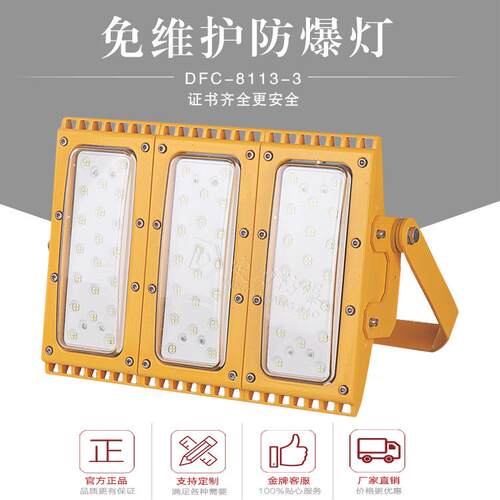 防爆投光灯led150w120w低36V48V隔爆型防爆灯可调角度立式支架式