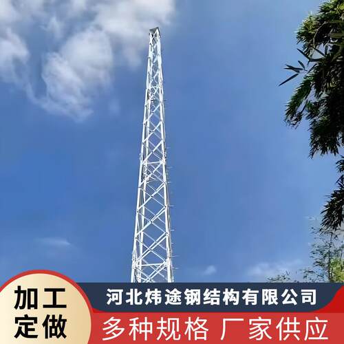 河北厂家供应钢结构角钢结构楼顶线式避雷塔量大从优