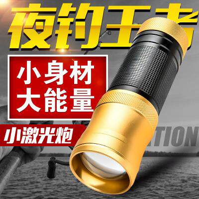 新款直销钓鱼灯蓝光紫光氙气2000夜光大功率台钓w鱼灯电筒充电式