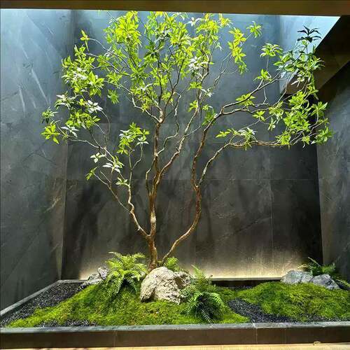 醉木天井植物室内马橱马醉木04窗仿景真绿植大型假树装饰造树景观