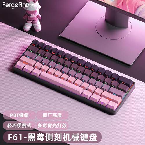 黑莓渐变高颜值机械键盘 锐蚁61键RGB灯光有线键盘 适用游戏办公