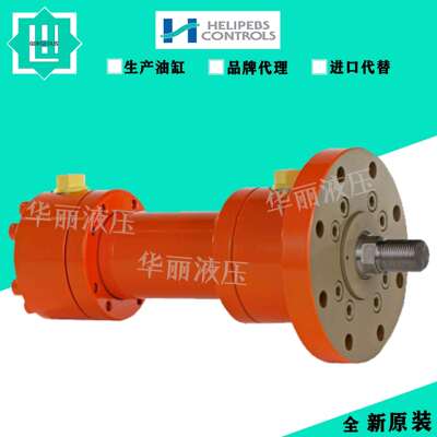 德国HYDORING赫尔纳油缸 液压缸 HD6025 PKP 50/36-100-A+B-23920