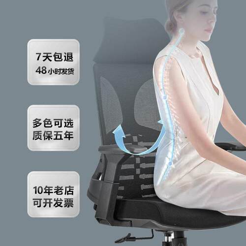 广州人体工学电竞座椅 家用书房学习电脑椅 升降护腰椅公转椅