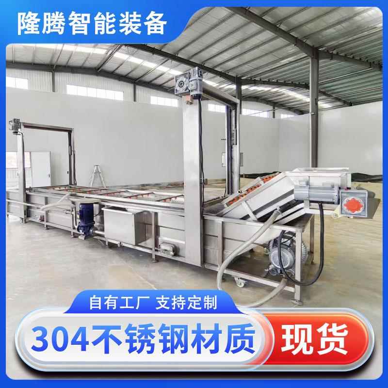 多功能解冻清洗鸡腿鸡翅气泡清洗机喷淋式水果蔬菜清洗加工设备