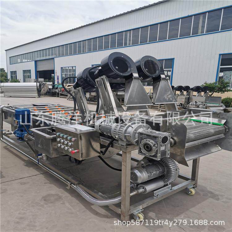 叶菜类去杂质清洗机果蔬气泡清洗机 高压喷淋清洗设备清洗烘干线