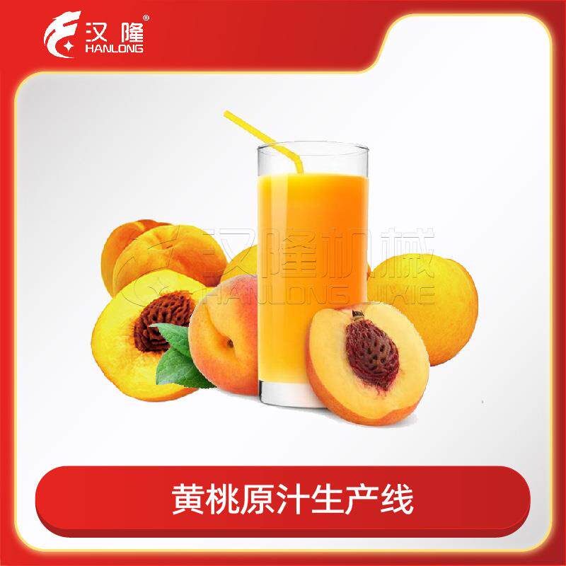 厂家直销不锈钢工业用大小型黄桃汁生产线果汁果酱饮料榨汁生产线