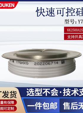 杜肯快速晶闸管平板式KK2500A2500V中频电炉可控硅Y76KKG